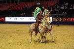 Quadrille - 00251